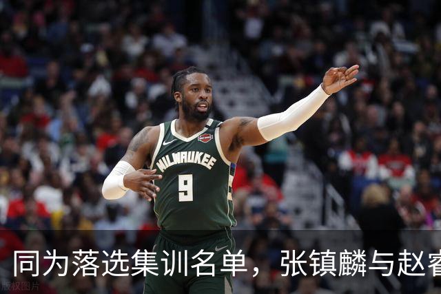 同为落选集训名单，张镇麟与赵睿的境遇差异何在？