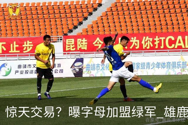 惊天交易？曝字母加盟绿军 雄鹿为布朗寻找第三方
