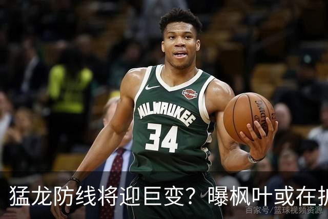 猛龙防线将迎巨变？曝枫叶或在扩军选秀中放弃摩根·里利