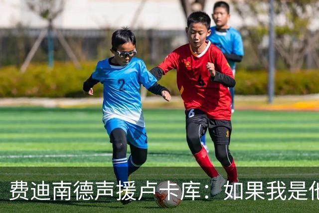 费迪南德声援卢卡库：如果我是他 我可能会疯
